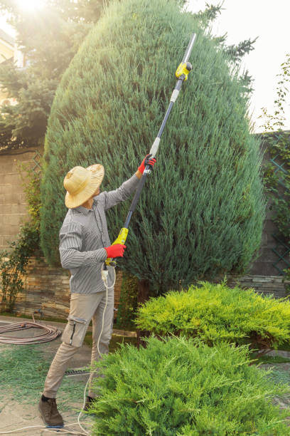 Best Sod Installation  in Cascade, ID